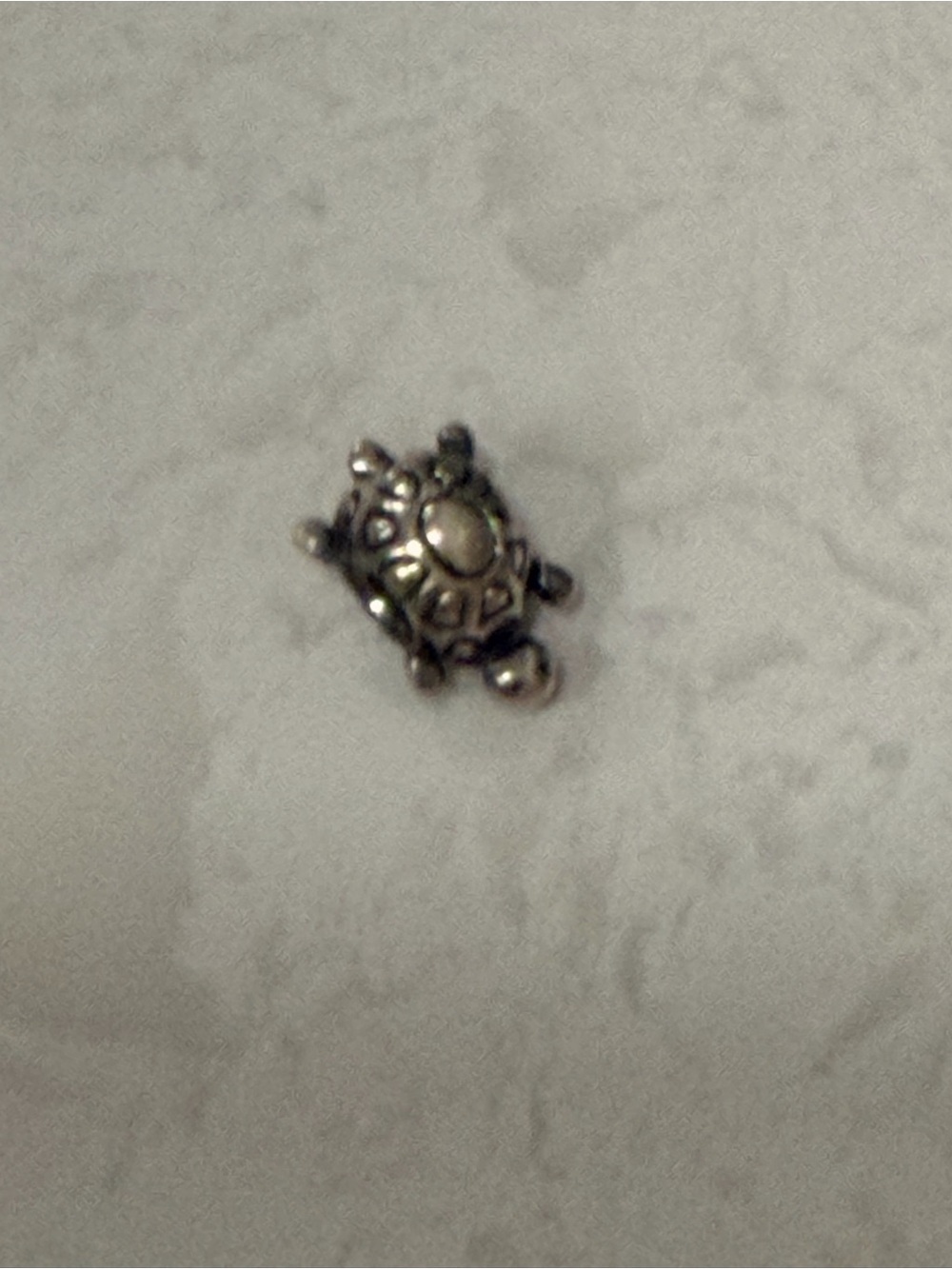 Pandora Silver Turtle Charm for Women
